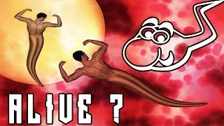 IS SPERM A LIVING ORGANISM ?