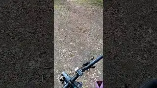 Пиши 