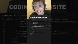 Web designer vs software developer 🫠