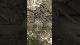 Стара хата край села 