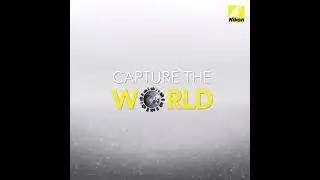 World Photography Day