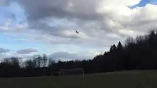 Flying Witch (Radio Controlled)