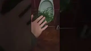 Всех с первым сентября :))