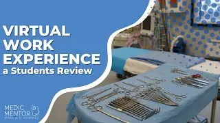 Virtual Medical Work Experience a Students Review