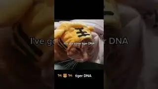 Cutest moments with my cat part.7