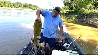 How to catch Flathead Catfish using bluegill
