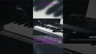 Alesis Melody 61 Key Keyboard Piano Beginners