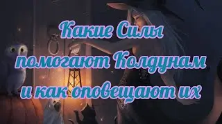 550 Какие Силы помогают Колдунам и как оповещают их . И как их убирать!!!
