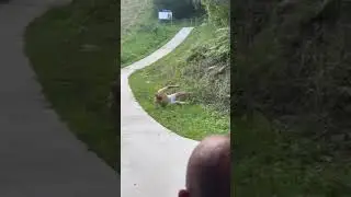 Guy Crashes Kid's Scooter While Riding Downhill - 1503611