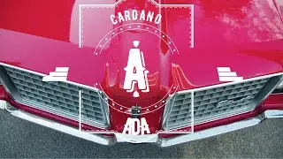 ADA(Cardano) - Все об Криптовалюте | Обзор | История | Плюсы и минусы