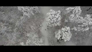 Dji Spark Cinematic | Winter Forest