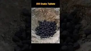 500 Black Snake 🐍 Tablets Experiment| Testing Diwali Snake Cracker #shorts #diwali #experiment