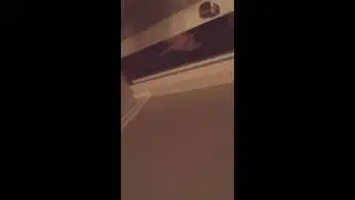 Smeagol talks to human