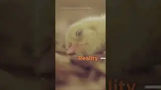 Perception or reality?