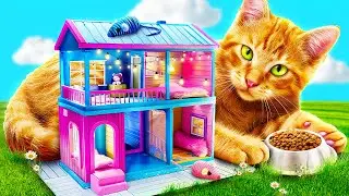 I Built a DREAM CAT HOUSE!
