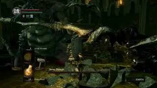 DS1 Stray Demon SL1 w/ Giant Blacksmith Hammer
