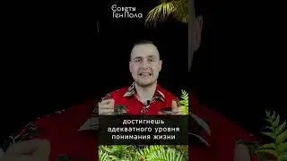 Рай существует? #shorts #психология