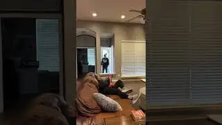 Next level security system 😂😂😂 