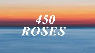 450 - Roses (Lyrics)