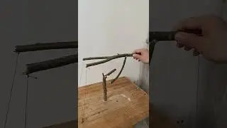 Balancing Hanging Branch Science Experiment