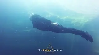 The Orange Freediver - Embrace the abyss