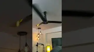 Smart Ceiling Fan 😁  #fan #shorts #fansound #viralvideo #shortsvideo