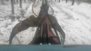 Мтз 82.Работа на заготовке древесины,вид из кабины трактора