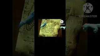 куда идёт шайлушай shorts.