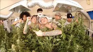 Kottonmouth Kings - The Joint (Edit)