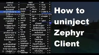 How to uninstall Zephyr hacked client