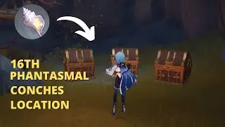 Underground Hidden Phantasmal Conches with 3 Precious Chest !