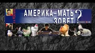 Куриный перегной // Оксана Алабама про Птичий Двор