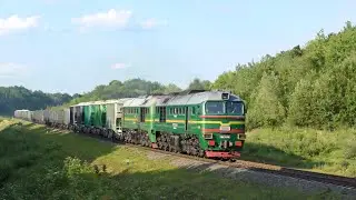 Efficient burning of diesel fuel in green forest