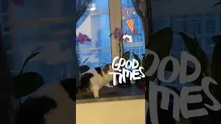 ВЗЯТЬ ВЫСОТУ