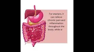 Looking for a natural way to alleviate chronic pain