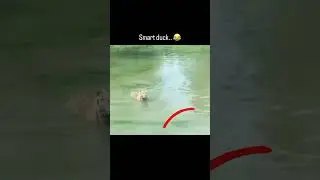 Clips You Can Only See Once (Part 9) | Rapid History