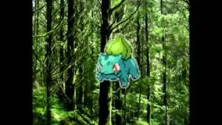 What it is like inside of a pokeball - The Final Answer!!!