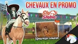 PROMOTION DE DINGUE 💸 | Star Stable Online
