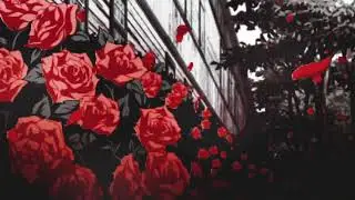 piya re piya re (slowed + reverbed)