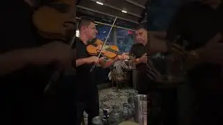 Gönlümün Sultanısın