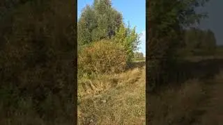 Выезд на отдых с родителями👍