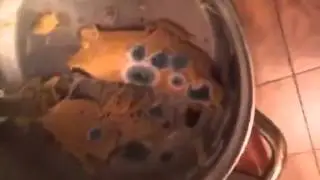 Паша Бумчик Periscope