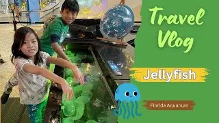 Touching  JellyFish | Florida Aquarium | #sealife #seaanimals
