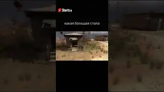 Скоро папа вернётся STALKER