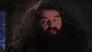 POV: you're closeted trans masc. and you're going to Hogwarts