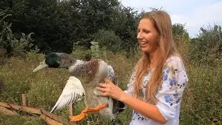 Барышня-Крестьянка. Катя Кардаш. Выпуск 10