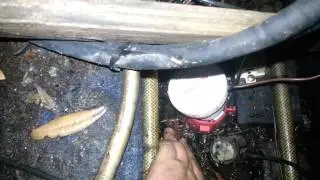 Rotten