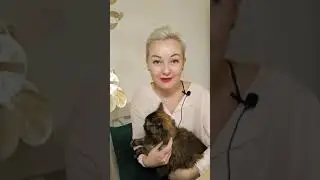 Спонсоры Ангелочки канала