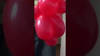 🎈🐻 Short DIY Oso de Globos