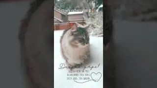 #доброеутро